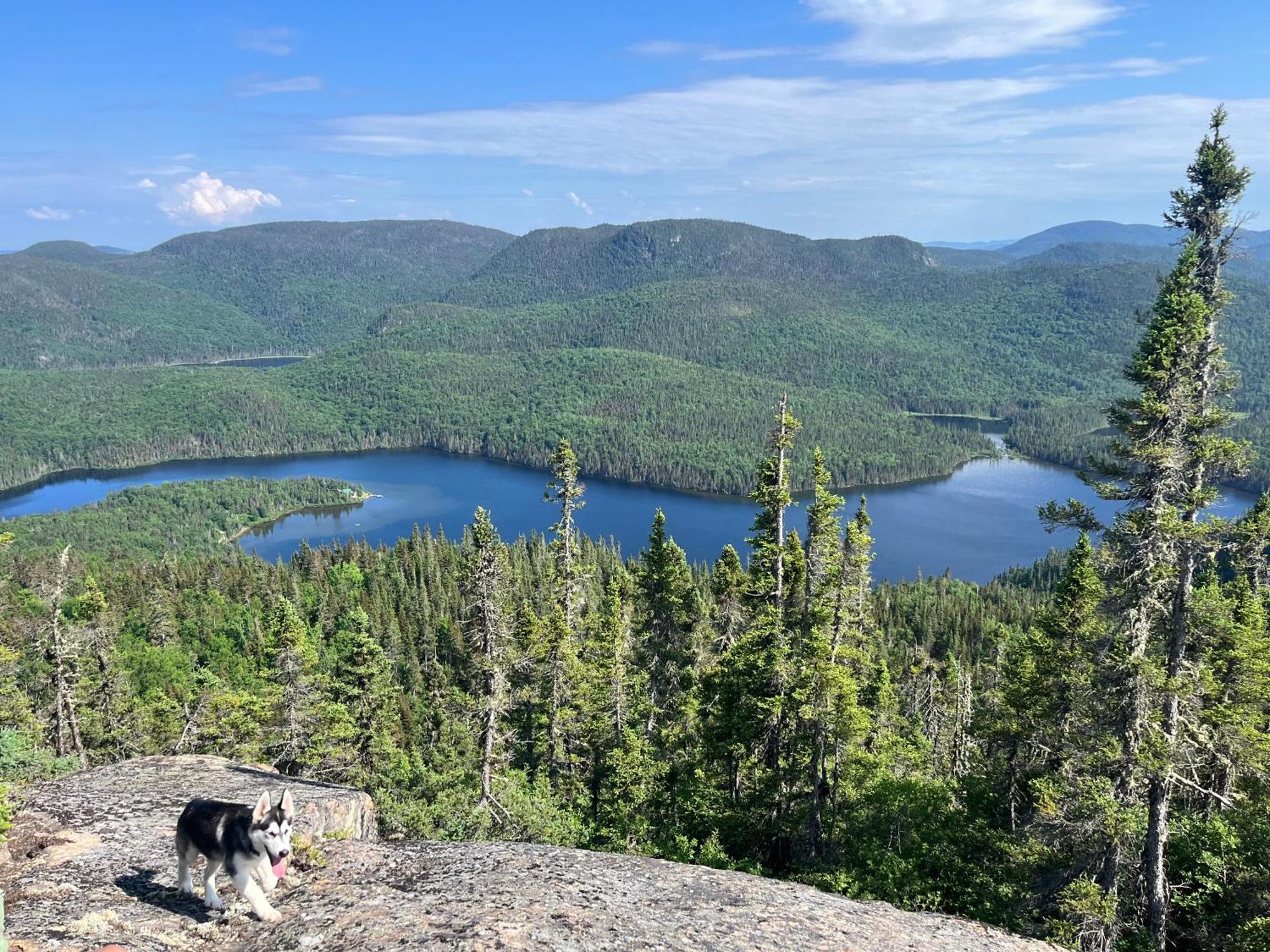 Auberge Boreale De Charlevoix Petit-Saguenay Екстер'єр фото